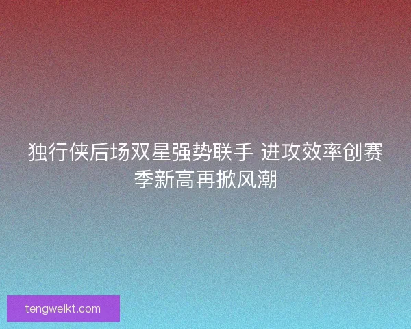 独行侠后场双星强势联手 进攻效率创赛季新高再掀风潮