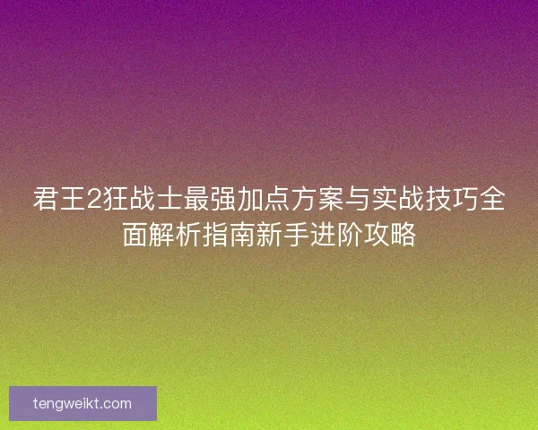 君王2狂战士最强加点方案与实战技巧全面解析指南新手进阶攻略