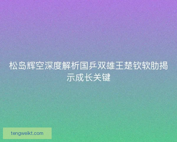 松岛辉空深度解析国乒双雄王楚钦软肋揭示成长关键