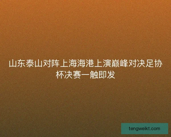 山东泰山对阵上海海港上演巅峰对决足协杯决赛一触即发